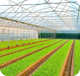 Produits agricoles adaptés